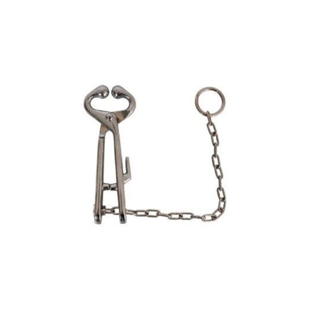 Bull Holder With Chain